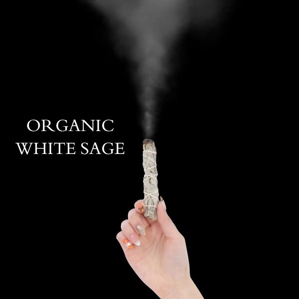 専用ページ☆無農薬ホワイトセージ特大バンドル説明書付き箱入りお香