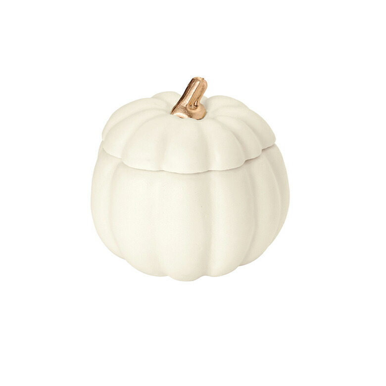 かぼちゃ  楽天市場】ワイヤーミニかぼちゃ ＜ハロウィン＞ : TABLE ＆ STYLE