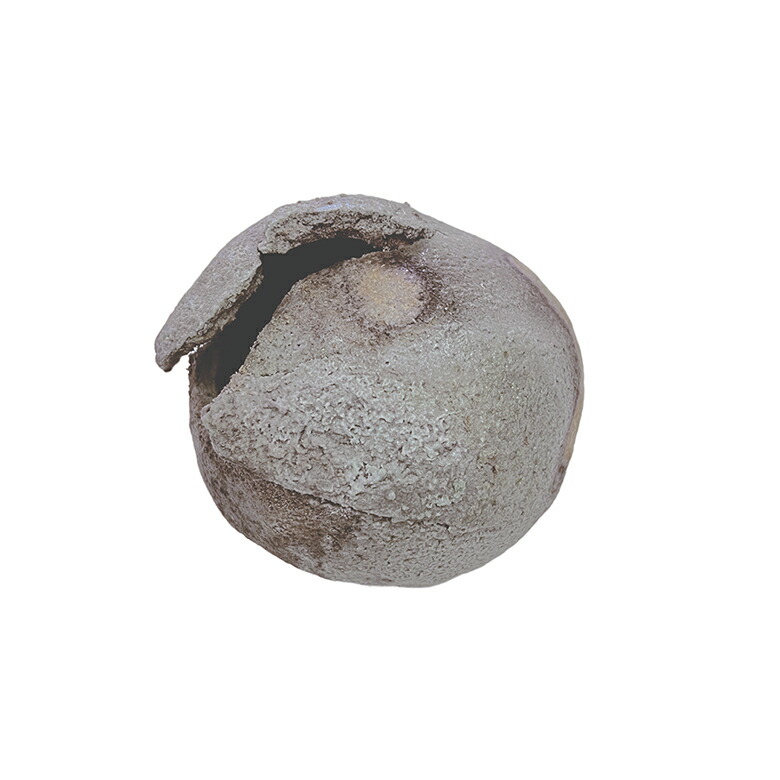 楽天市場】輪島塗 花器 花翔 黒朱ぼかし : フリスト