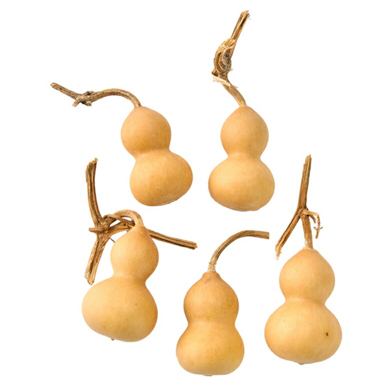 楽天市場】【ドライ】大地農園/豆ひょうたん 5個 N/22330-000【01