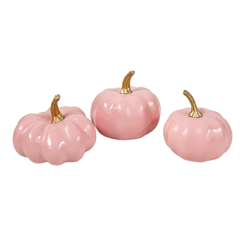 かぼちゃ DiCesare Designs】Kabocha ONE TONE | 藤巻百貨店