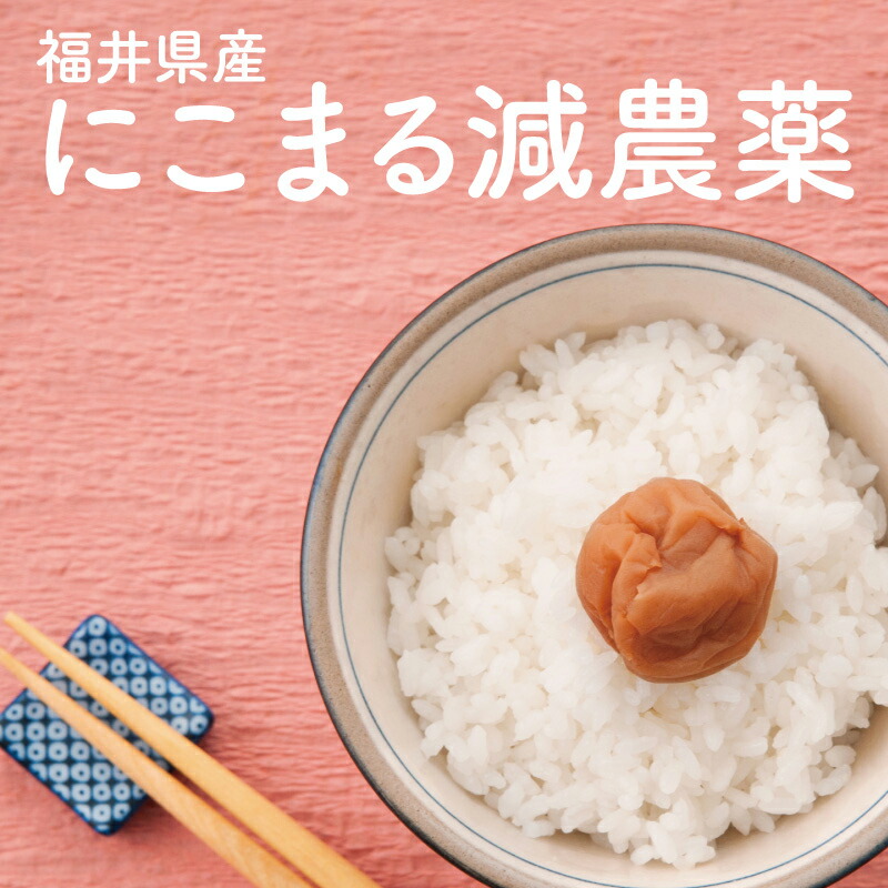令和7年度産/新米【減農薬】【にこまる5kg 10kg 20kg 30kg】【送料無料】小嶋農産 産地直送 福井県【米5kg 送料無料】【お米 10kg 送料無料】お米/米/コメ/白米 玄米 5kg 10kg/こめ/おこめ/kome/ojima/ozima/おじま/こじま｜福井産米と雑貨 おじま商店