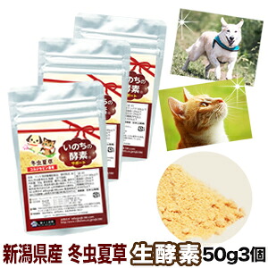 犬 猫 ペット 冬虫夏草 純国産 品質保証 コルジセピン 酵素 ペット酵素 いのちの酵素 50g3袋 粉末 健康食品 日本産 国産 サプリ パウダー 菌 免疫 ベータグルカン βグルカン アミノ酸 菌活 大型犬 小型犬 老犬 老猫 ヒューマングレード｜【水素サプリ専門店】論より証拠