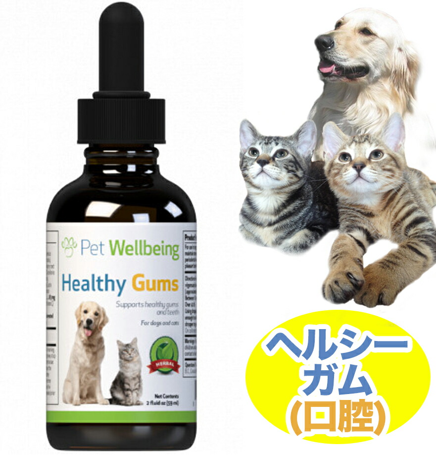 おすすめ】 犬 猫 液体サプリメント 口腔 Healthy Gum 59ml カナダ産 fucoa.cl