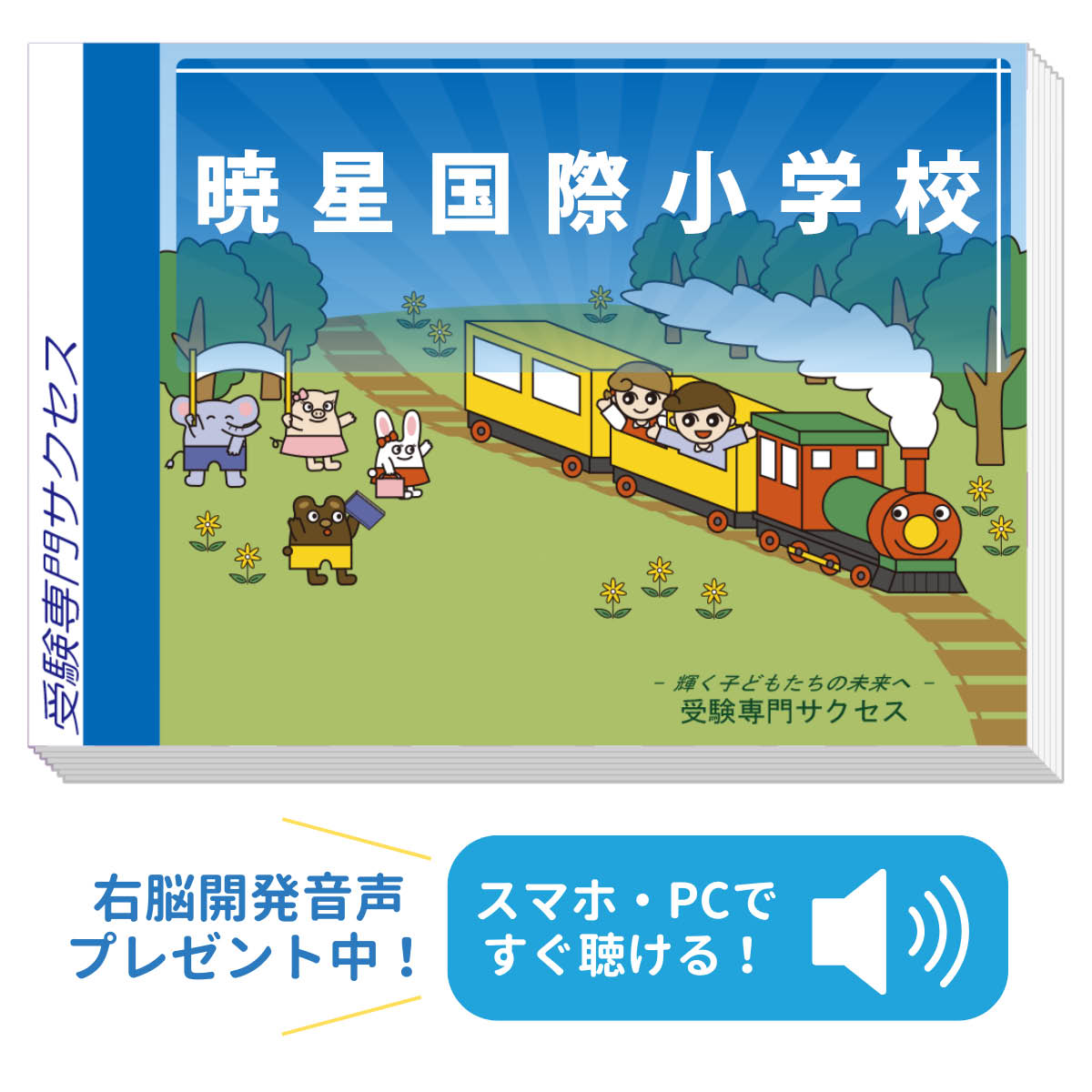 楽天市場】2026 暁星国際流山小学校・合格セット問題集 過去問の傾向と