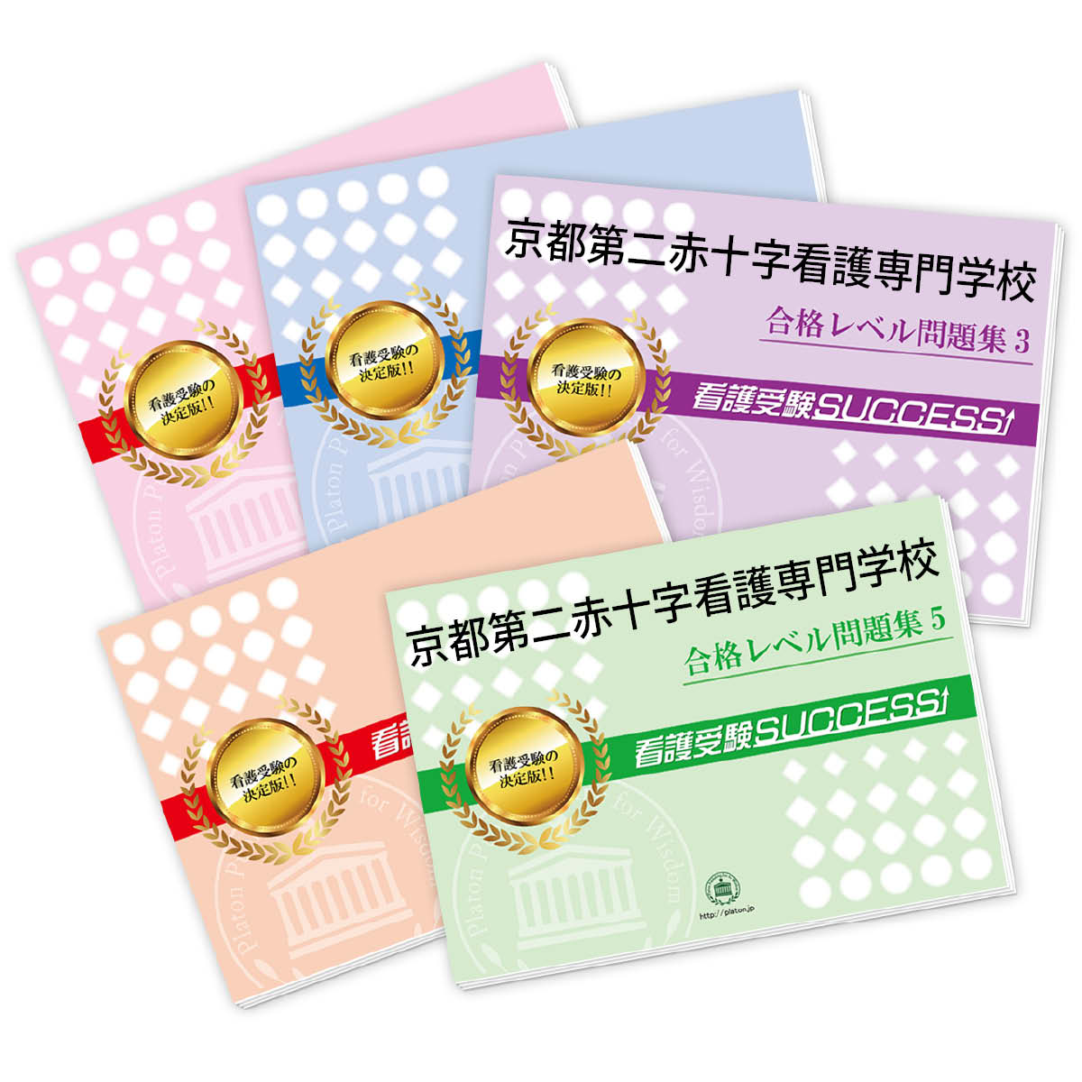 東京都立　看護専門学校　合格レベル問題集15冊、願書最強ワーク 1冊セット 本物 東京都立 看護専門学校 合格レベル問題集15冊、願書最強