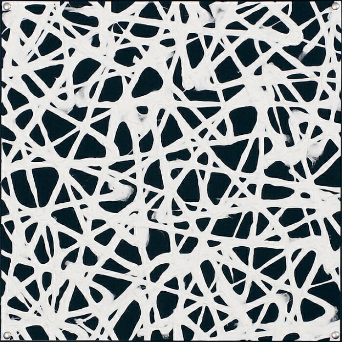 インテリアアート アートデコ アートパネル マサエコ 450×450×35 AR6031 アートパネル 北欧 モダン 玄関 花 横長 モノトーン