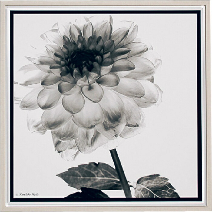 室内装飾工芸 アートデコ 工芸貼り出し かっこ良い活動写真工芸 707×707×26 AR7153 工芸ダイアログボックス 北欧 今めかしい 部屋の入り口 花 横長 一本調子