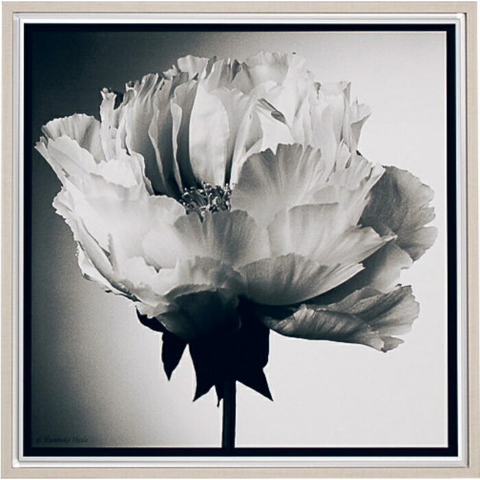 室内装飾工芸 アートデコ 工芸貼り出し かっこ良い活動写真工芸 707×707×26 AR7155 工芸ダイアログボックス 北欧 今めかしい 部屋の入り口 花 横長 一本調子