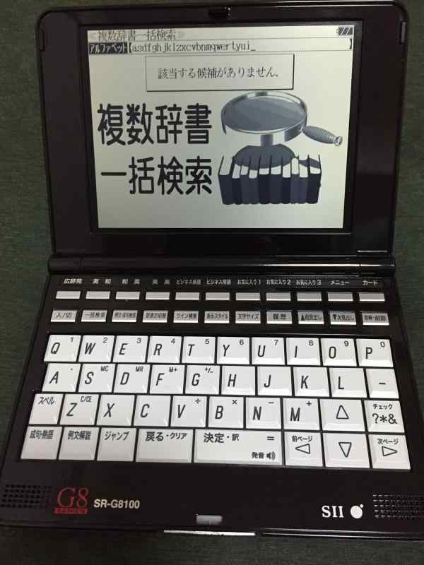 SII 陰電子字引き 商行為 取りむすぶ 会計監督官 財務ひな形 SR-G8100