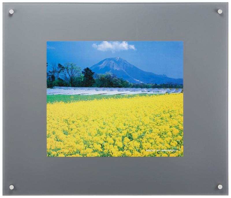 FUJICOLOR 額縁 プロフレーム [ 特寸フリーL ] 特殊サイズ アクリル シルバー 40116