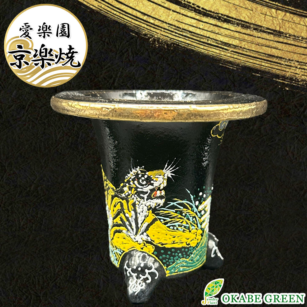 【お買い物マラソンお得クーポン配布中】 観葉植物 鉢 おしゃれ 京楽焼 鉢 窯元 愛楽園 陶器鉢 虎 トラ 【1品1品手描きの為若干絵柄が変わります】 京楽焼き 楽焼 楽焼き オモト 万年青 富貴蘭 春蘭 フウキラン フウラン シュンラン インテリア 送料無料 [6]｜岡部グリーン有限会社