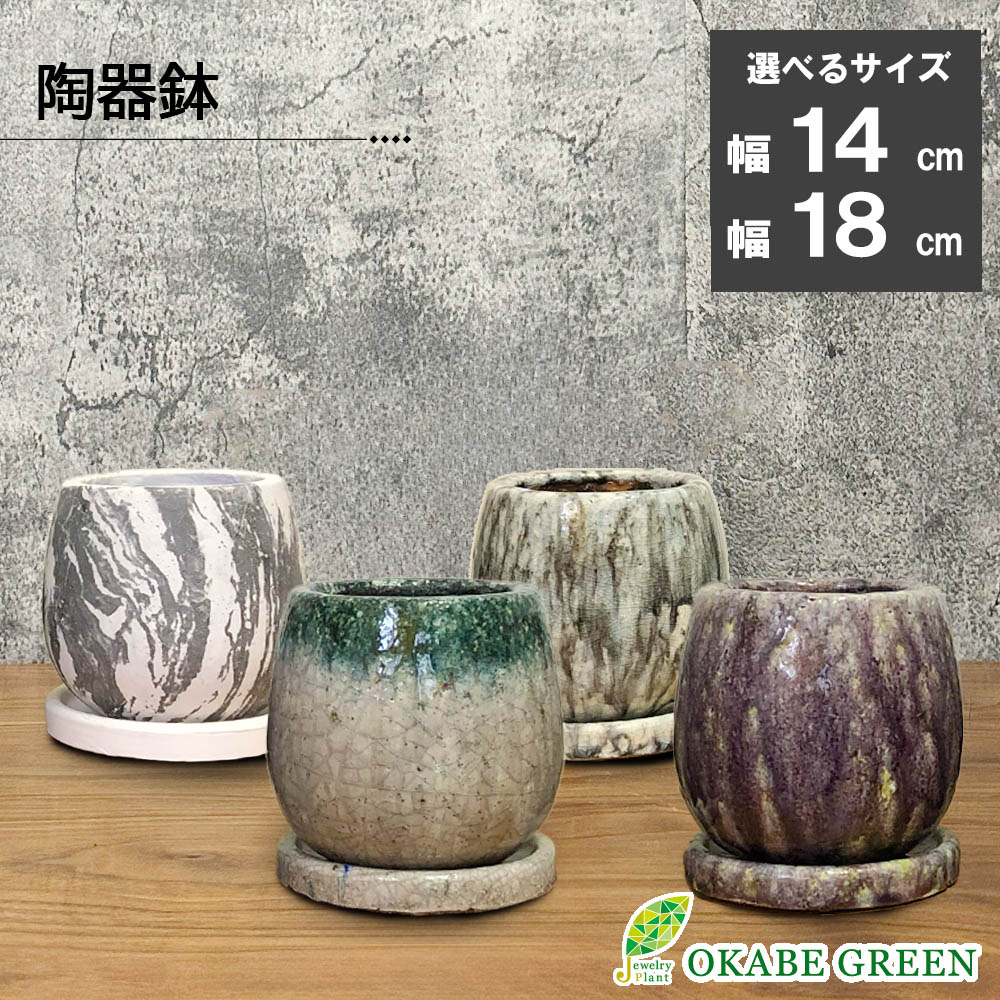 楽天市場】【大感謝祭店内全品2個で10％OFF】 観葉植物 鉢 選べる 7号