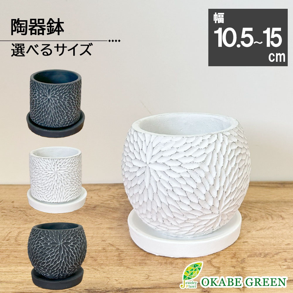 楽天市場】観葉植物 鉢 選べる 7号鉢 6号鉢 陶器鉢 おしゃれ 鉢植え