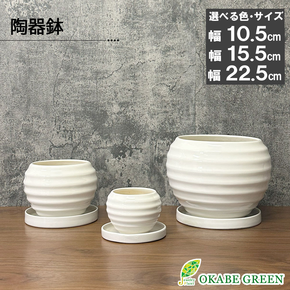 楽天市場】観葉植物 鉢 選べる 7号鉢 6号鉢 陶器鉢 おしゃれ 鉢植え