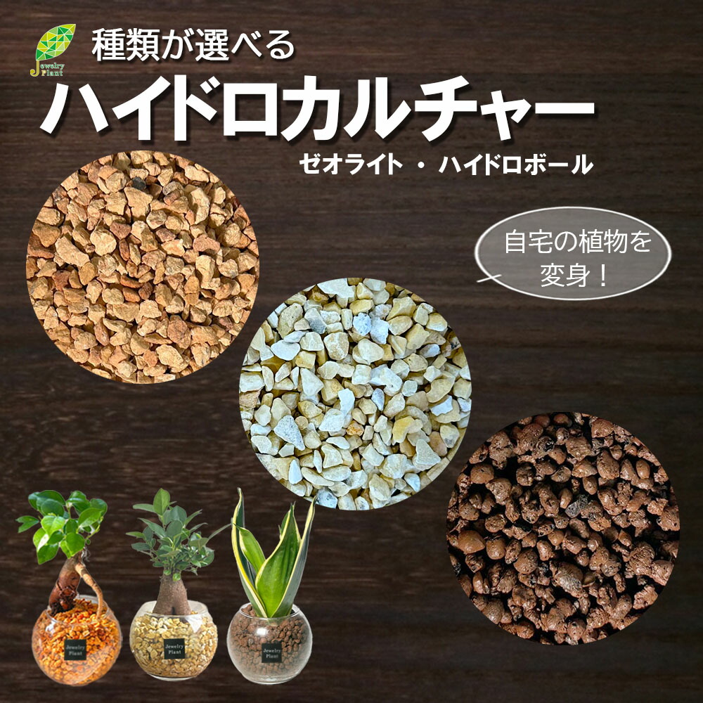 楽天市場】観葉植物 土 室内用 【植え替え土セット】 培養土
