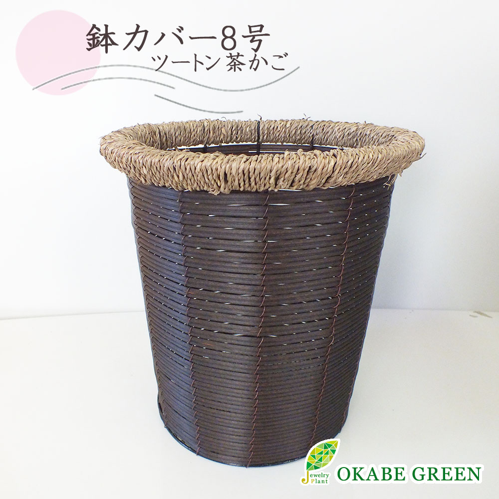 母の日 観葉植物 鉢カバー おしゃれ 茶かご ツートン 8号 鉢植え お祝い 誕生日 お歳暮 ギフト プレゼント 引越祝い新築祝 インテリア 雑貨 ガーデン 送料無料