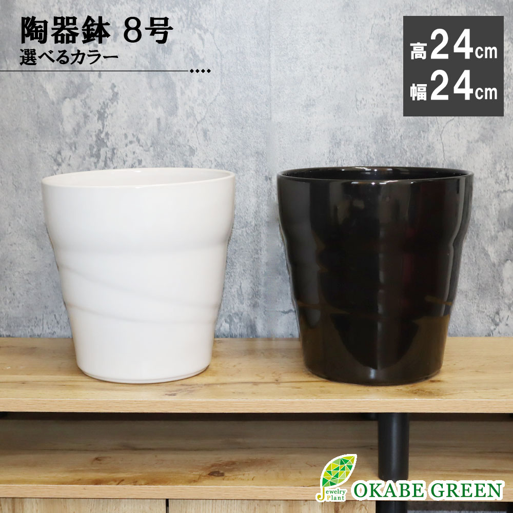 楽天市場】【大感謝祭店内全品2個で10％OFF】 観葉植物 鉢 選べる 7号