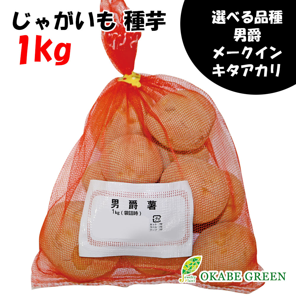 MICRO様専門キタアカリ　種芋　sからss20キロ 楽天市場】種芋 キタアカリ Sサイズ 1キロ（約18コ）切らずに