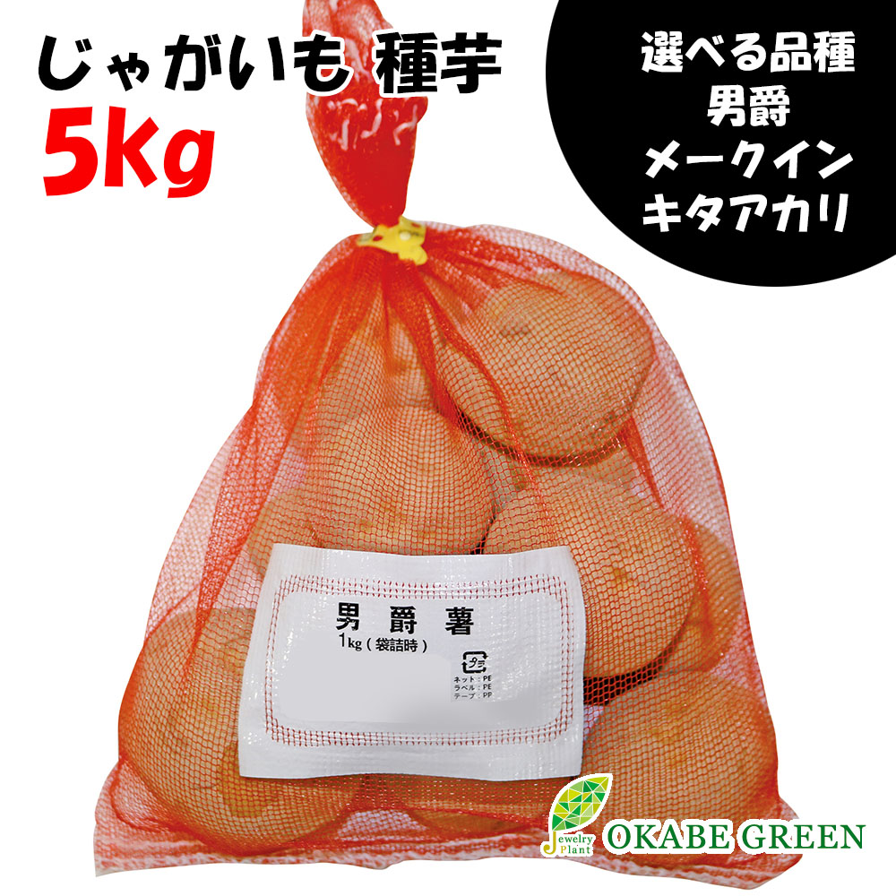 ジャガイモ種芋　アイマサリ　MLサイズ　検査票あり　20キロ じゃがいも 種芋 【予約】 【 アイマサリ 1kg 入り】 | 農業屋.com