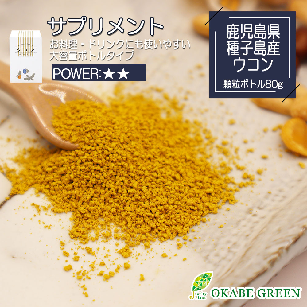 【2個同時購入10％OFFクーポン配布中】 ウコン ペアレント 80g 顆粒 ボトルタイプ 健康補助食品 サプリ サプリメント ウコン 健康 飲み会 飲みすぎ 二日酔い お歳暮の日 お歳暮 送料無料