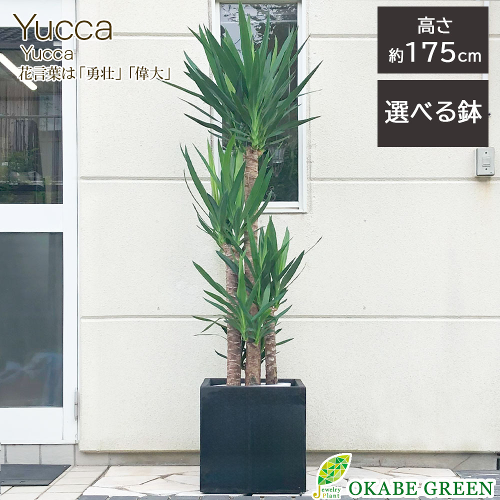 【最大限度50％OFF】百貨店大売り出し特集