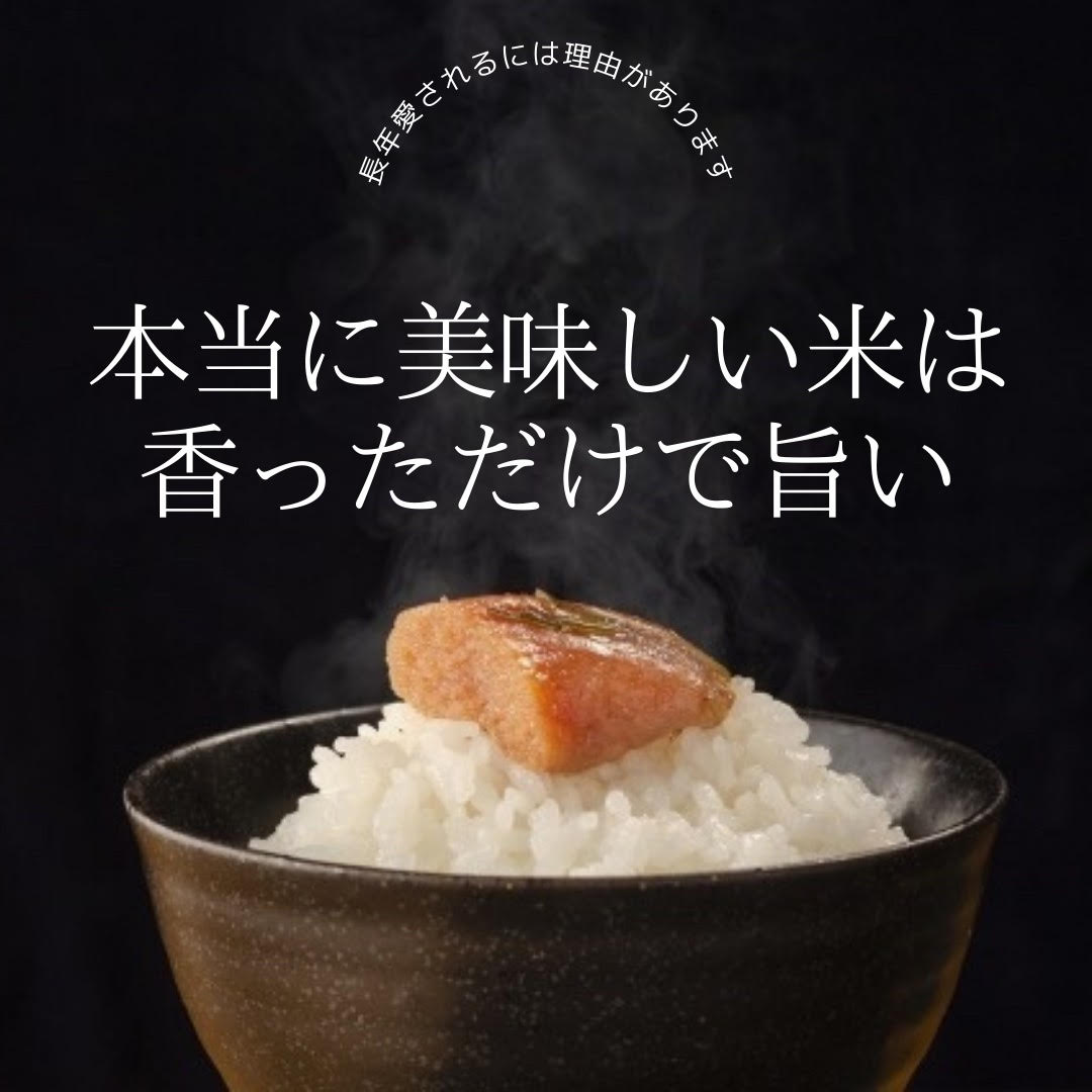 減農薬 令和 年産米 熊本県産 こだわり七城米 菊池米ヒノヒカリ 玄米30kg 10kg 3袋 送料無料 おいしいお米 九州産 米 農薬 割減 化学肥料 割減 送料無料 お米 米 熊本県産 米 30kg 送料無料 お米 30kg 送料無料 米 30kg ひのひかり Lojascarrossel Com Br
