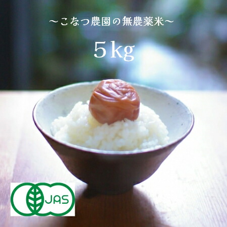 有機栽培米【ＪＡＳ】米 ５kg 送料無料【農薬・化学肥料不使用】熊本県産森のくまさん5kg　送料無料　玄米５kg　白米4.5kg　分づき
