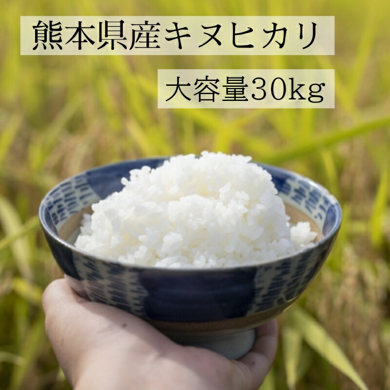 【米 30kg】令和6年産　熊本県産 キヌヒカリ　玄米30kg(10kg×3袋)/精米約27kg(約9kg×3袋)【送料無料】【数量限定】【おいしいお米】【九州産 米】【玄米 30kg】