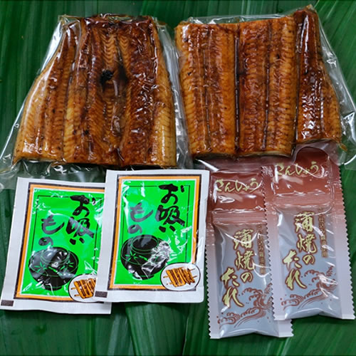 送料無料 産地直送 浜松 浜名湖うなぎ蒲焼2人前セット Ct お中元 敬老の日 早割 花以外 グルメ お取り寄せ 食べ物 鰻 うな丼 うな重 惣菜 おかず 食べ物 ギフトセット 詰め合わせ 両親 結婚 出産 新築 退院 快気 内祝い お見舞い返し 還暦 お祝い プレゼント