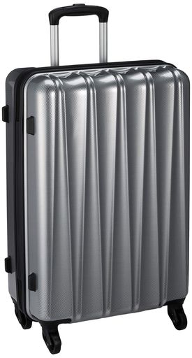 [ビバーシェ] スーツケース ファスナー TSAロック レインカバー付き 52L 62 cm 3.8kg YZ-H-S シルバー｜OkaLiving店