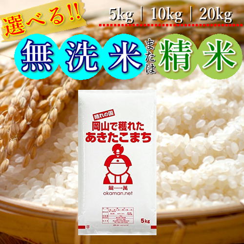 楽天市場】お米 令和5年産 高知県産 コシヒカリ 米 送料無料