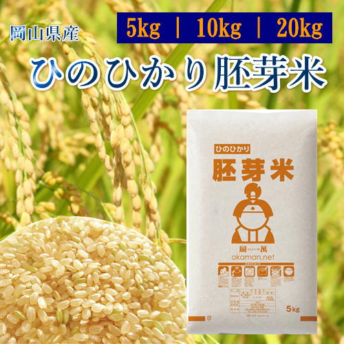 米 お米 令和6年産 お米 ひのひかり胚芽米 岡山県産 精米 送料無料