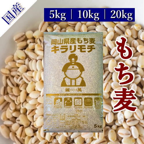 楽天市場】令和5年産 もち麦 ダイシモチ 岡山県産 紫もち麦 送料無料