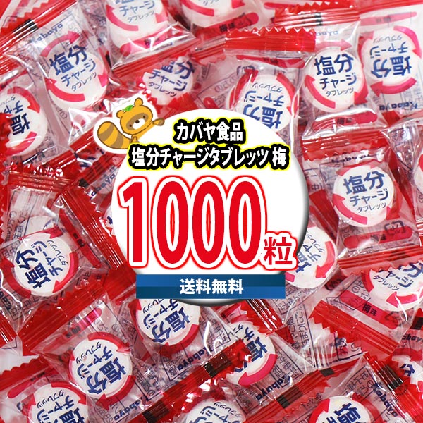 (地域限定送料無料) お菓子 詰め合わせ カバヤ食品 塩分チャージタブレッツ 梅味 1000粒 (4901550151708px1000k) 【大容量 小分け 大量 小袋 個包装 タブレット 業務用 まとめ買い 買い置き ストック お試し 差し入れ 塩分補給】｜おかしのマーチ