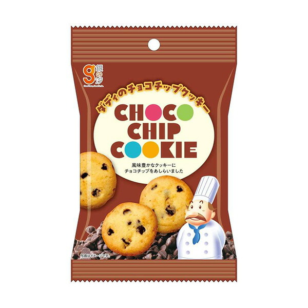 楽天市場】銀の汐 ラブリーチョコクッキー 10g 240コ入り