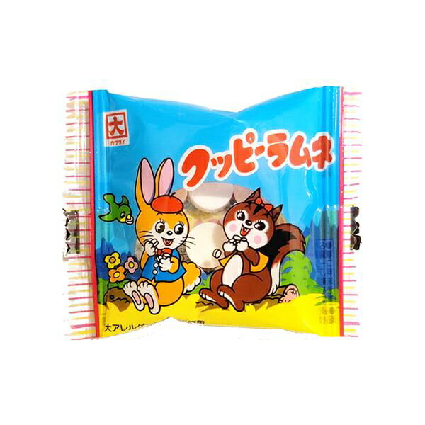 カクダイ クッピーラムネ 5g 1000コ入り (49635775c)｜おかしのマーチ