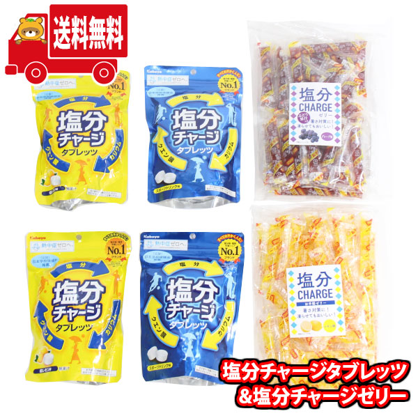 (地域限定送料無料) お菓子 詰め合わせ 熱中症対策に 塩分チャージタブレッツ2種(塩レモン、スポーツドリンク)&塩分チャージゼリー2種(レモン、グレープ)部活動 屋外活動(omtma9535k)【個包装 塩分補給 ゼリー タブレッツ 熱中症対策 お菓子 大量】