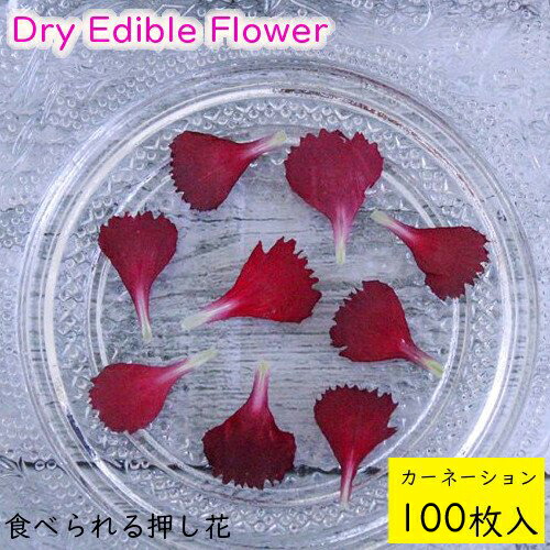 全国送料無料 食べられる押し花 ドライエディブルフラワー カーネーション 100枚入り 食用花 ドライフラワー 有限会社トム メール便 Omtmb7228 爆安