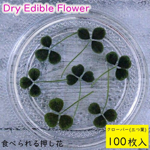 市場 全国送料無料 クローバー 三つ葉 食べられる押し花 ドライエディブルフラワー 市場 全国送料無料 クローバー 三つ葉 食べられる押し花 ドライエディブルフラワー