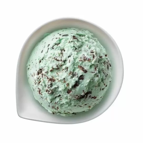 業務用 ロッテ バラエティ チョコチップミント 冷凍 2L (769103762)