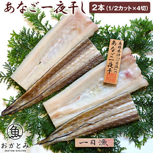 穴子 干物セット 干物 ギフト <br>送料無料 島根沖・あなご一夜干し 2本（1/2カット×4切）「天女の羽衣」 <br>アナゴ 白焼き 国産 島根産 大田市 大あなご ひもの 一夜干し 誕生日 プレゼント 内祝 お祝い 御祝 お礼 活〆 贈り物 詰め合わせ 高級 岡富商店