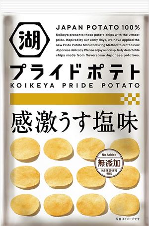 送料無料 湖池屋 Koikeya Pride Potato感激うす塩味 60g 24袋 Paigebird Com