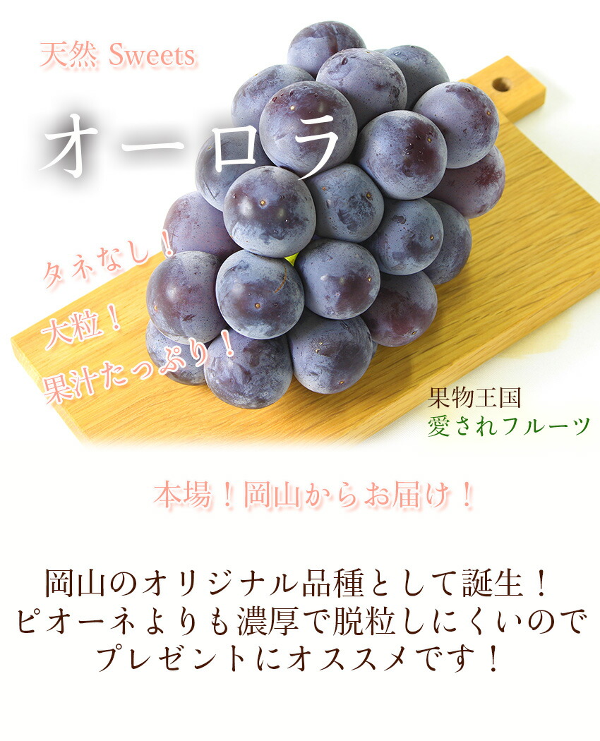 限定販売の超レアぶどう岡山県産マスカットビオレ、晴王、オーロラブラックセット 2025 ギフト 岡山県産 シャインマスカット 晴王 オーロラ