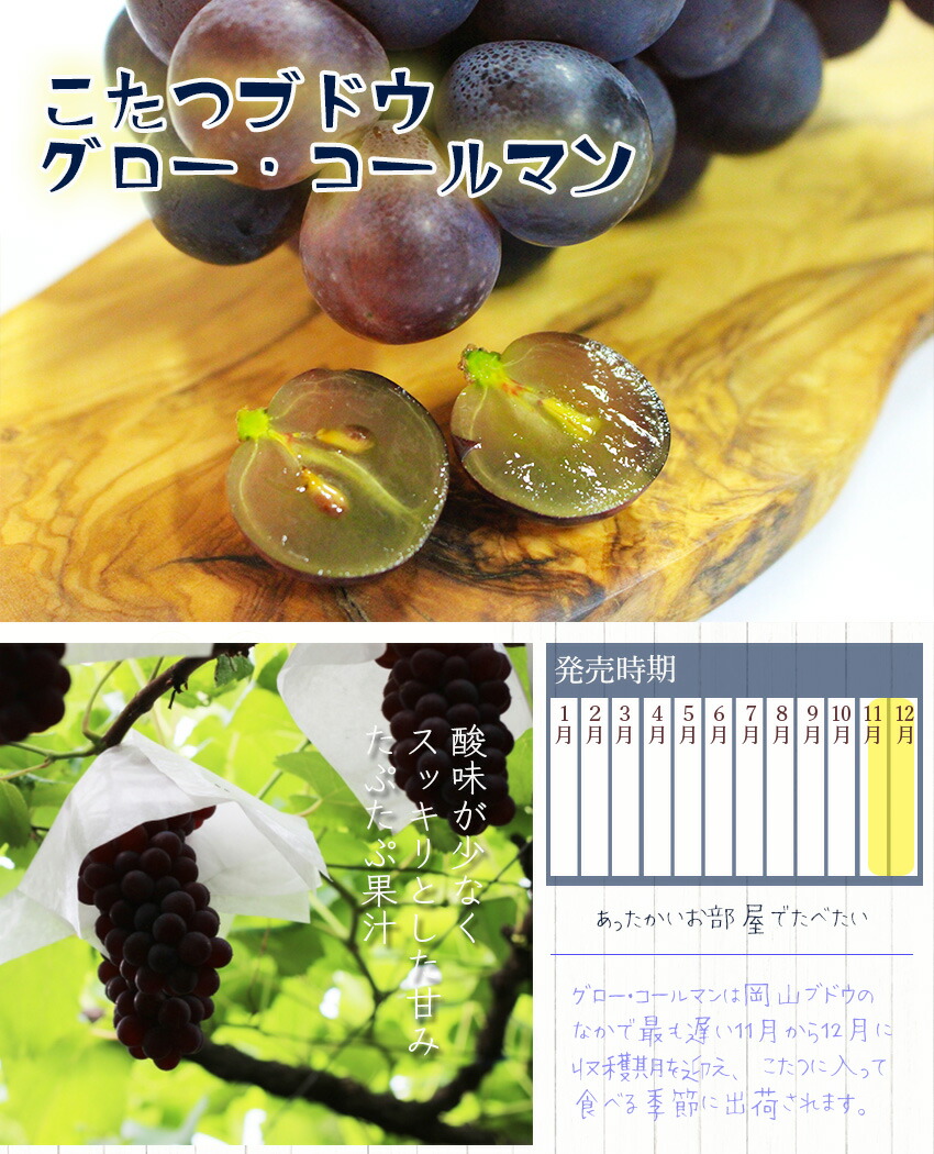 楽天市場 グローコールマン 2房500g 2房 岡山県産 簡易包装 お試し家庭用 ブドウ ぶどう 葡萄 プレゼント 岡山果物工房 岡山果物工房 御中元御歳暮ギフト