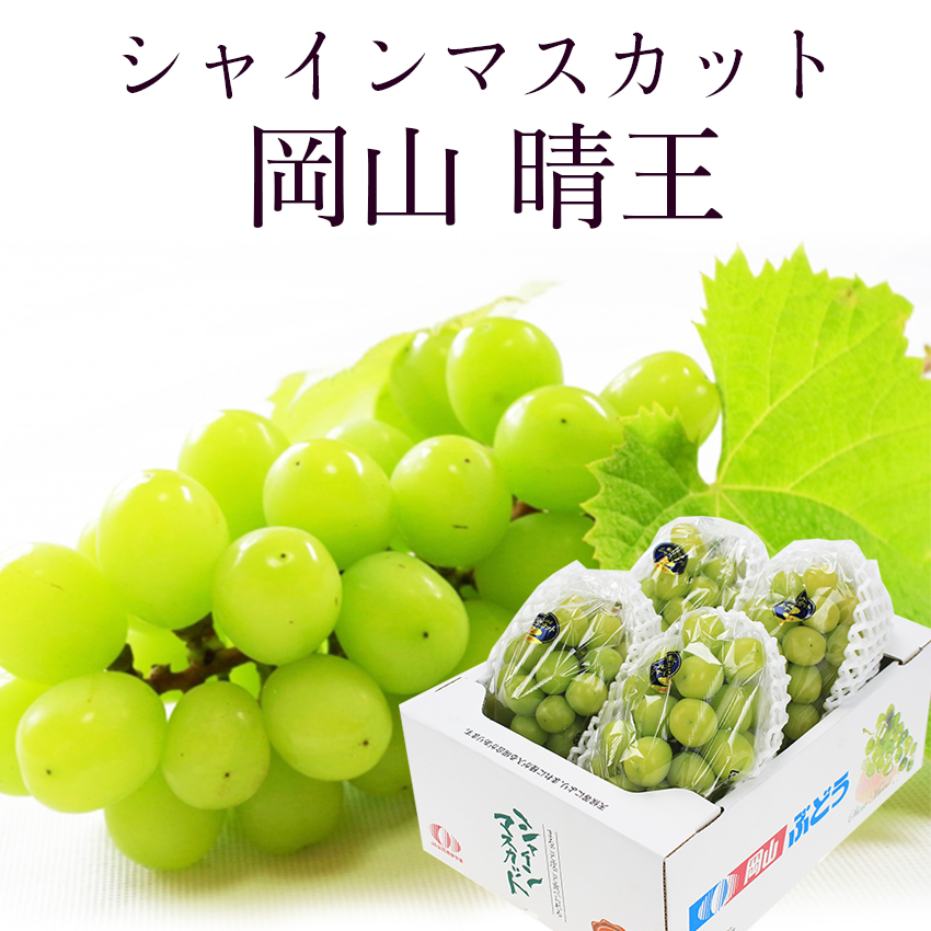 岡山産【晴王】シャインマスカット2L 2kg 3房 お中元 父の日 敬老の日-