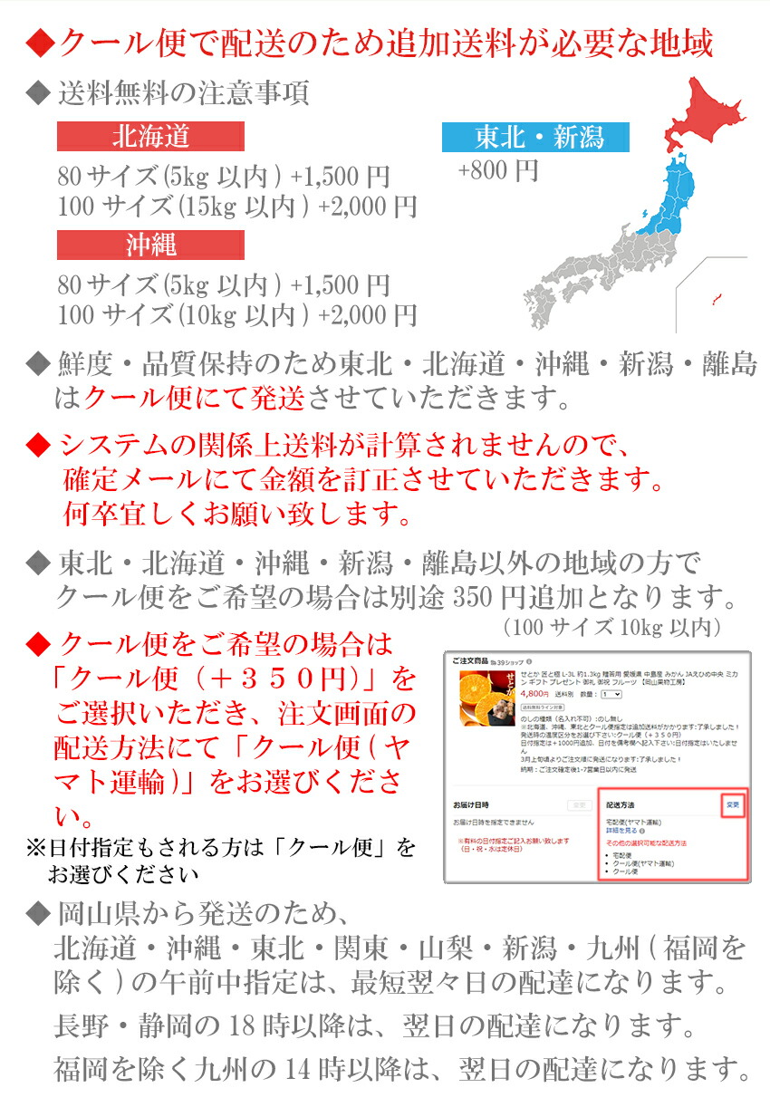 南高梅 4l 父の日 梅 うめぼし 生梅 秀品 約10kg ギフト 梅酒 和歌山県産 紀州 Ja