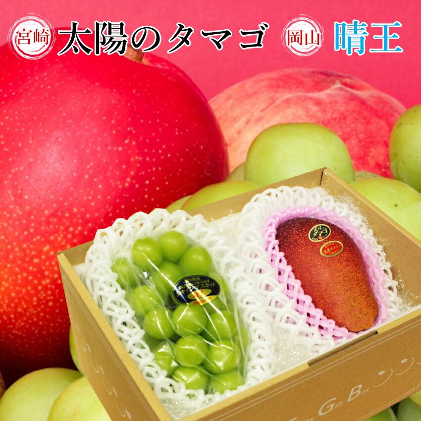 2025 ギフト 太陽のタマゴ ＆ シャインマスカット 晴王  秀品 贈答用 父の日 御中元 プレゼント 御礼 御祝 御供 果物 くだもの フルーツ 【岡山果物工房】