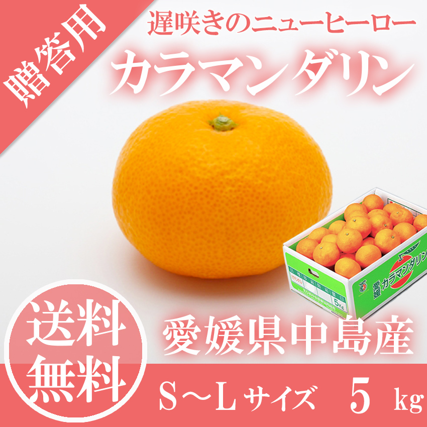 みかん カラマンダリン 共創作党員秀品 S Lサイズ 5kg Jaえひめ中間点 中島産 愛媛県 配物 岡山果物スタジオ 4月灯かり中旬時節一層差し出す Cannes Encheres Com