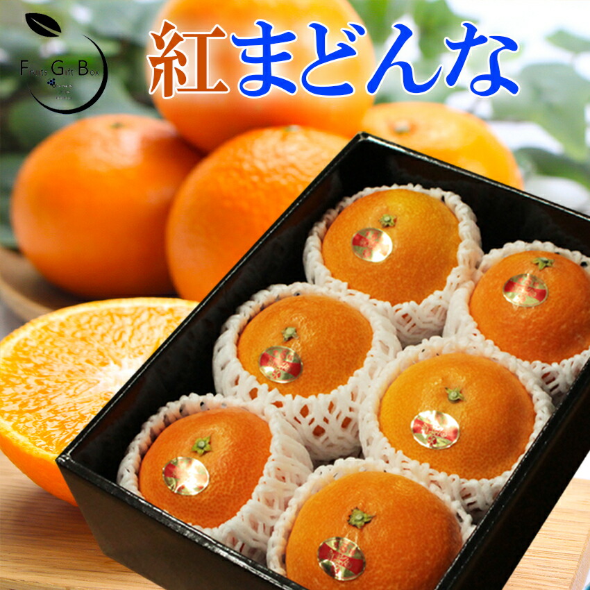 楽天市場】2025 お歳暮 ギフト 紅まどんな Lサイズ6玉入り 秀品